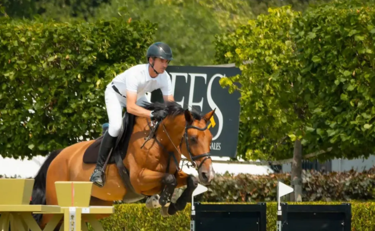CSI 3* de Wuustwezel Victoire de Halo de Rozel,
